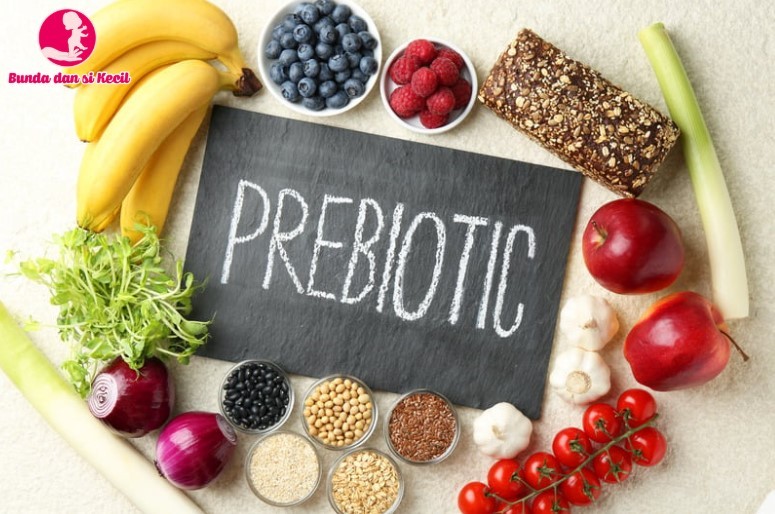 Prebiotik: Rahasia Usus Sehat dan Imunitas Kuat bagi Bunda dan Keluarga